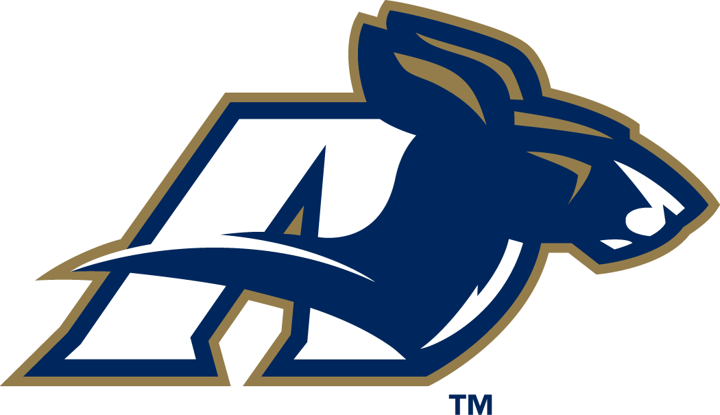 Akron Zips 2002-Pres Alternate Logo v3 diy DTF decal sticker